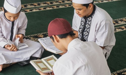 الصورة المصغرة للدورة