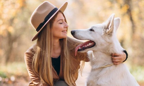 الصورة المصغرة للدورة