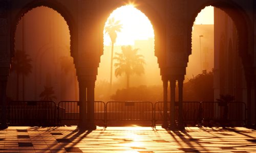 الصورة المصغرة للدورة