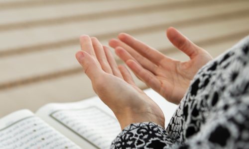 الصورة المصغرة للدورة